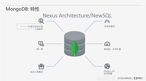 從零開始 一步步搭建MongoDB數(shù)據(jù)庫服務(wù)